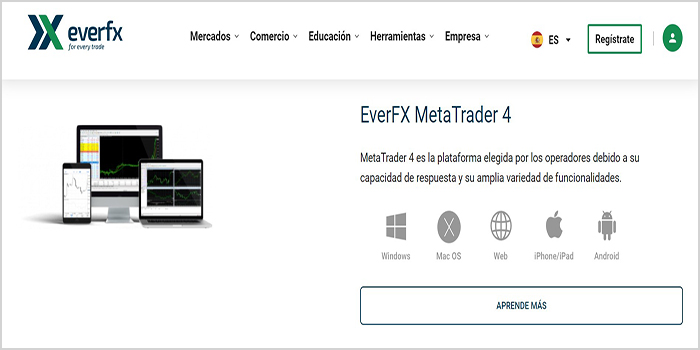 MT4 para everfx broker 